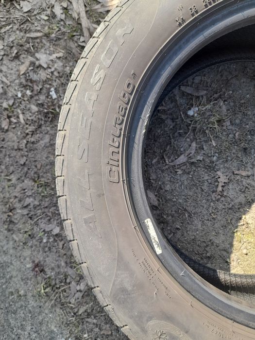 Opony Pirelli 175/65 R14