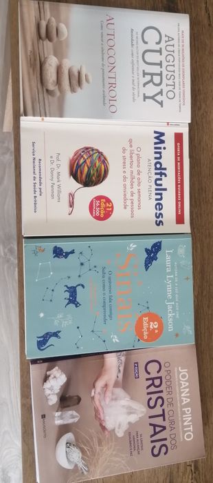Livros: literacia financeira, desenvolvimento pessoal, bebés