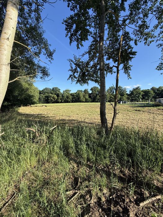 Działka 1578 m² pod dom jednorodzinny | Bronowice | gm. Trzebiel - View 4