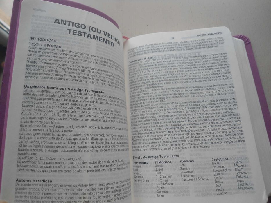 Bíblia Sagrada com concordância