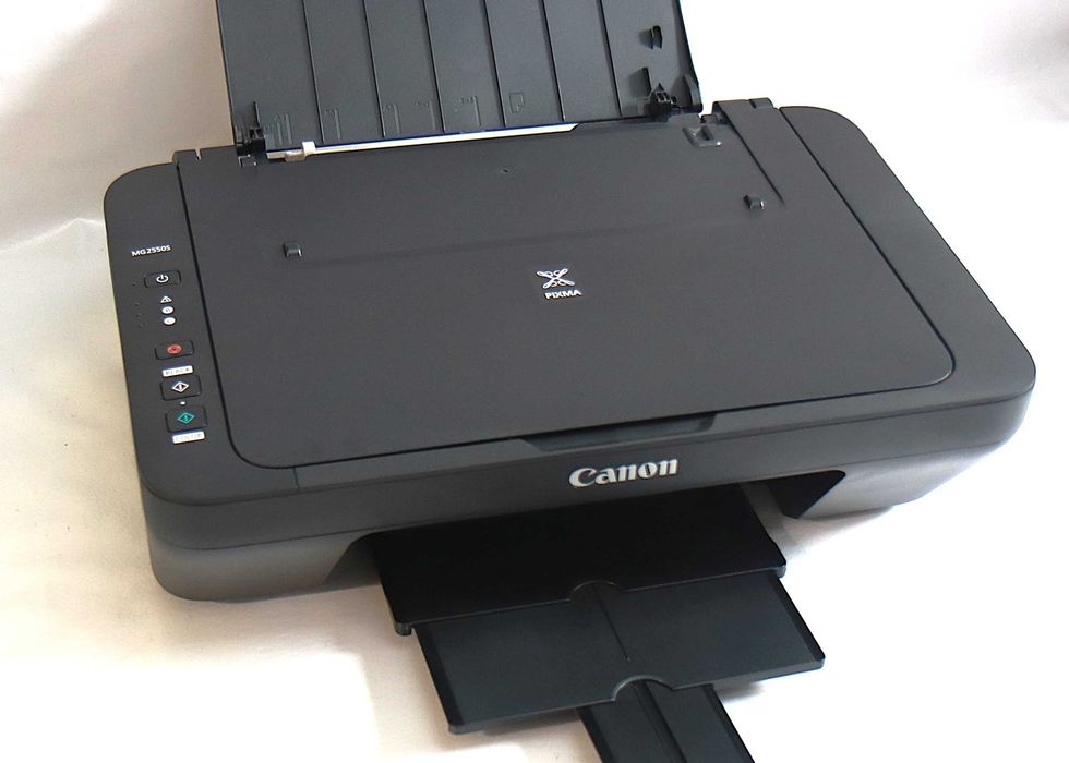 Impressora Canon Pixma MG2550S