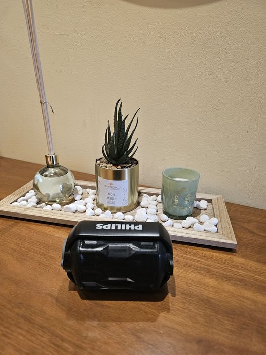 Coluna Bluetooth Philips Waterproof