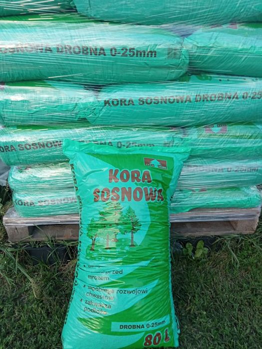 Kora sosnowa 24 zl