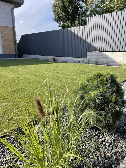 Озелененя територій.  Ландшафтний дизайн. Рулонний газон.