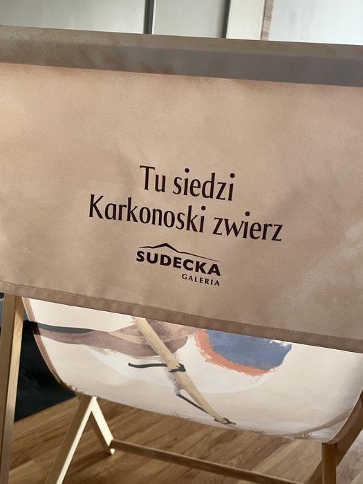 Leżak ogrodowo plażowy