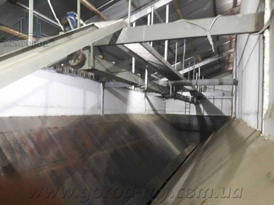 Бізнес з виробництва соняшникової олії в Україні. Олійниця. Завод