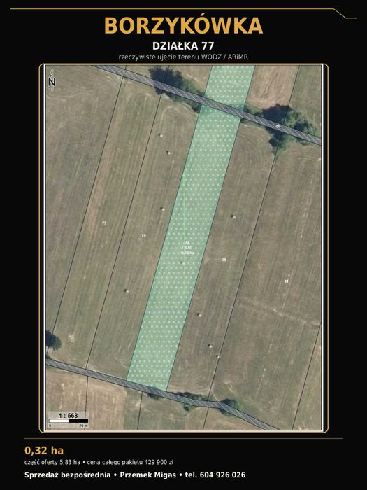 BORZYKÓWKA — 5,83 ha — 429 900 zł