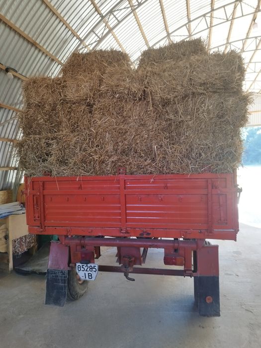 Тюки сіно солома 2025