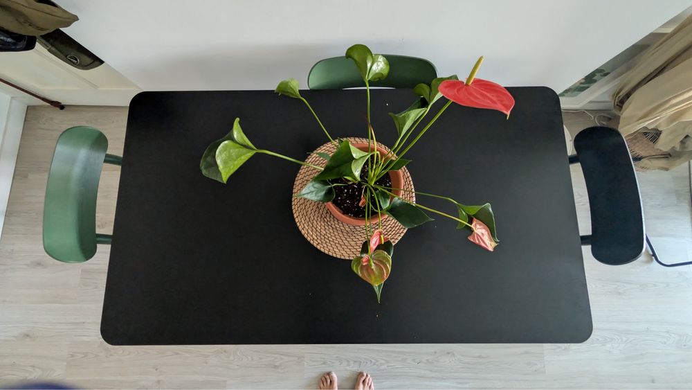 Mesa jantar Ikea Lisabo