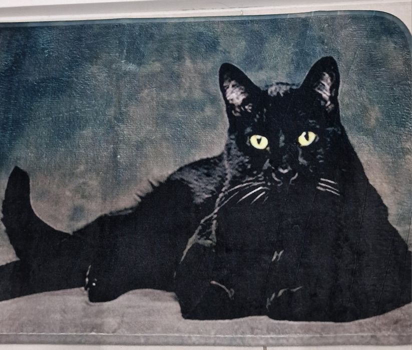 Mata miękki chodnik z czarnym kotem