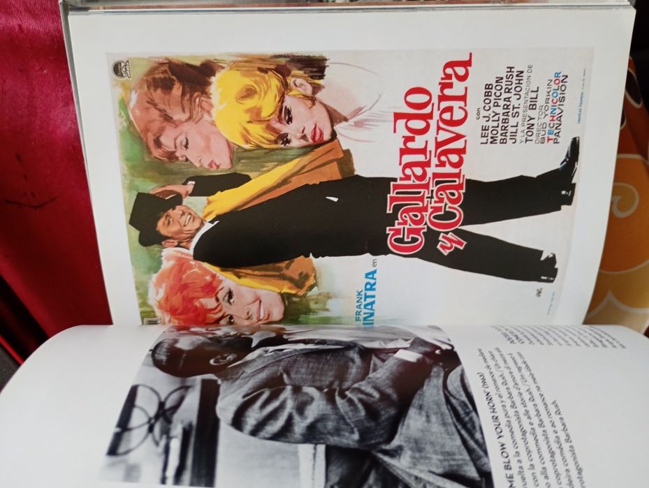 Movie Icons- Sinatra-Tachen-1 edição-Textos- Alain Silver-Fotos: The Kobal Colection - 12E -  Alcofa Kinderkraft só C/estrutura lateral-50E - Desde 2E