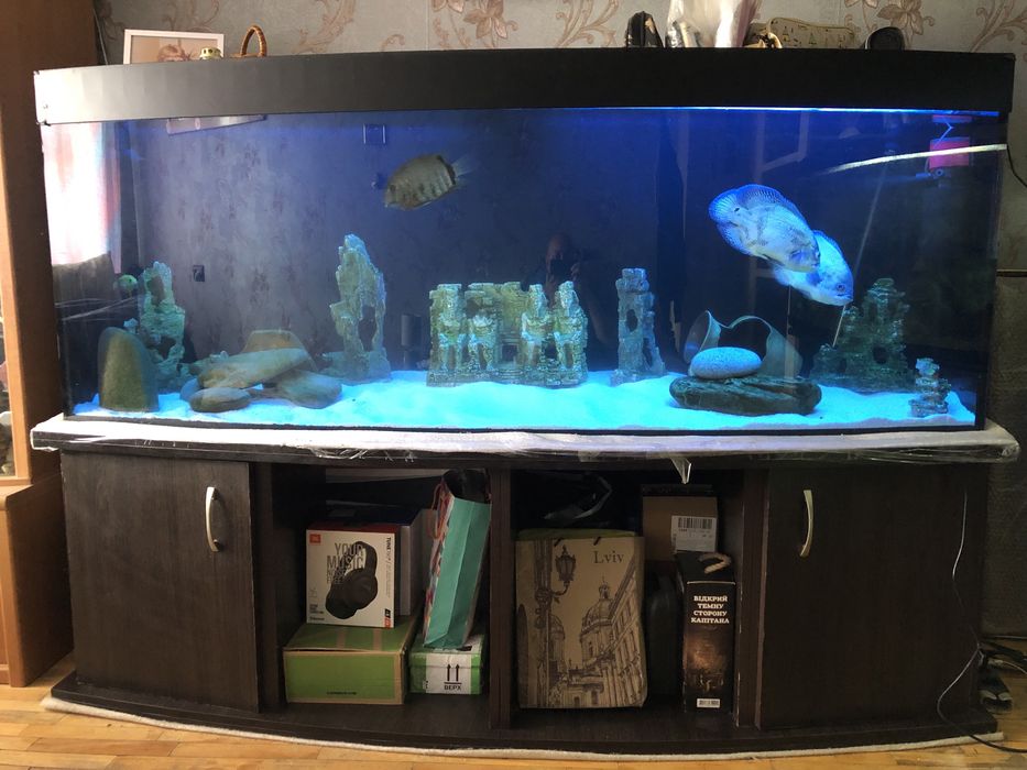 Акваріум панорамний 800л