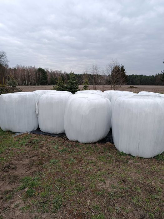 Siano i sianokiszonka