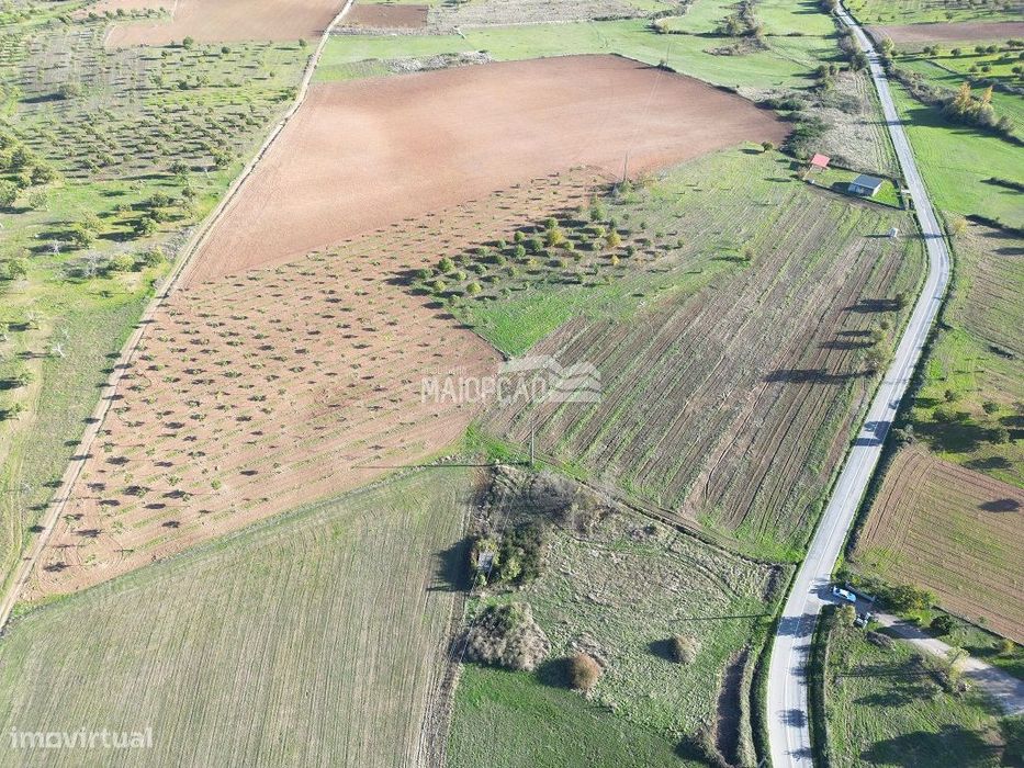 Propriedade C/Plantação de Nogueiras e Castanheiros