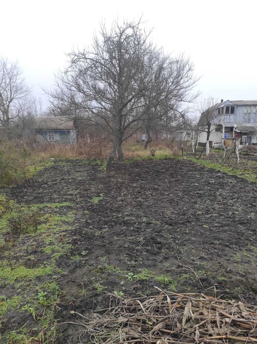 Продам Дачну ділянку