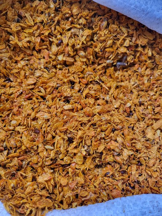 Rokitnik owoc wytłok suszony