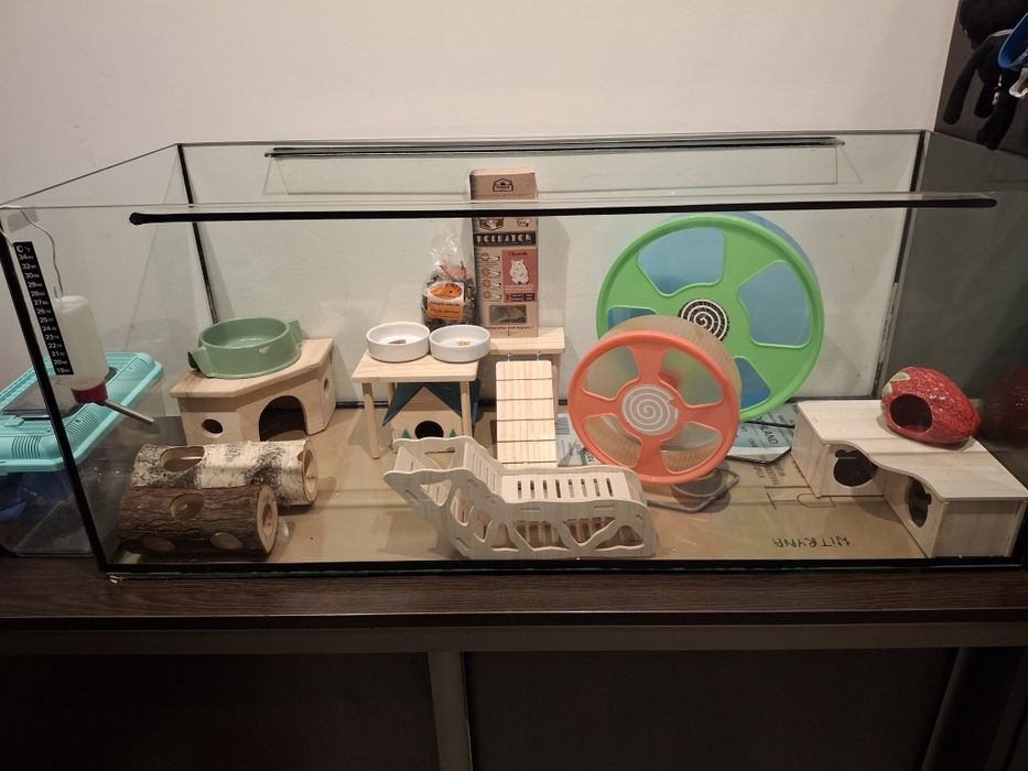 Akwarium dla chomika