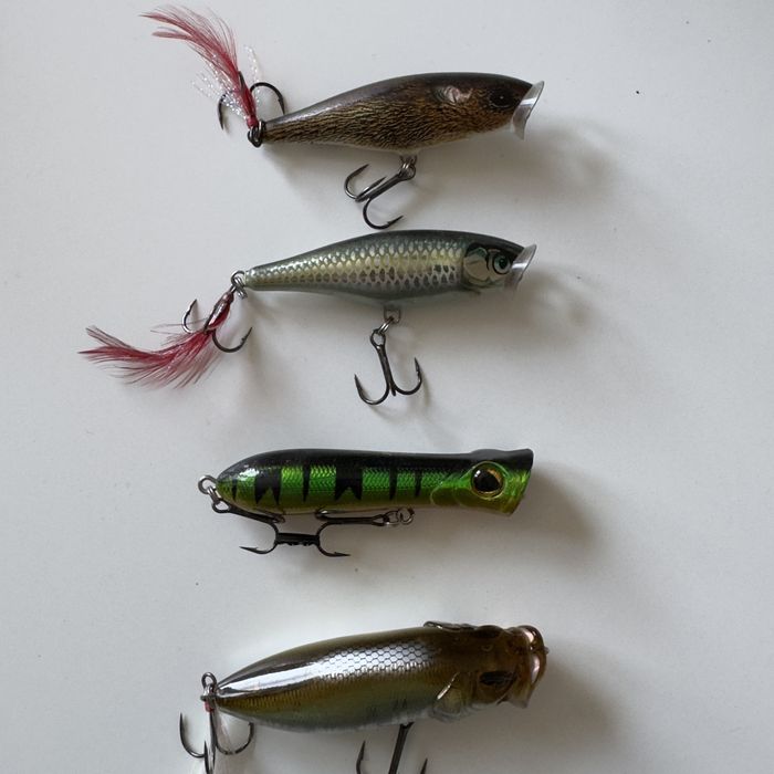 Woblery Rapala- Megabass