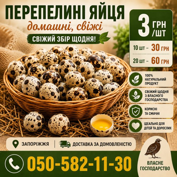 Перепелині яйця домашні свіжі | Запоріжжя