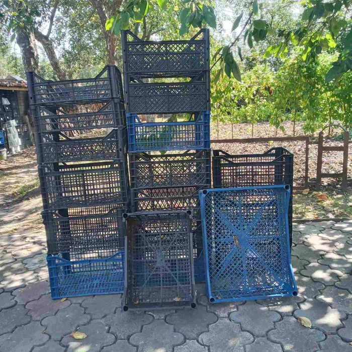 Ящики пластмасові