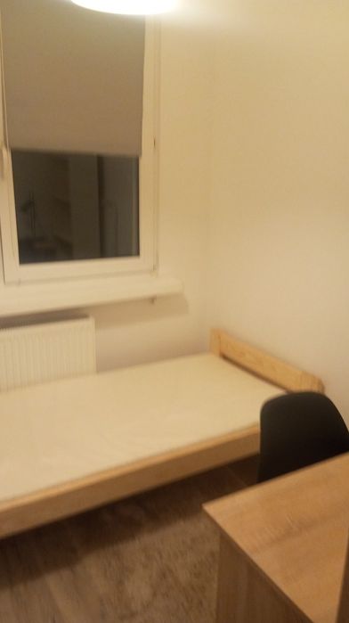 Zdjęcie 5