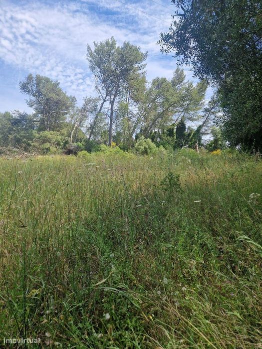 Rustic Plot of Land