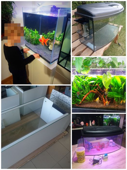 Akwaria około 20szt, hodowlane, całe zestawy, sprzęt akwarystyczny