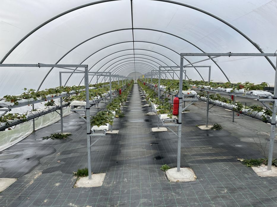 Vendo Estrutura Aço Galvanizado