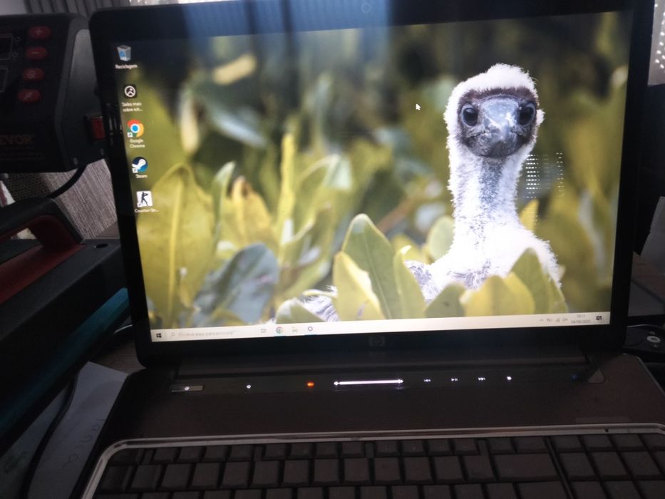 HP Pavilion DV7 portatil