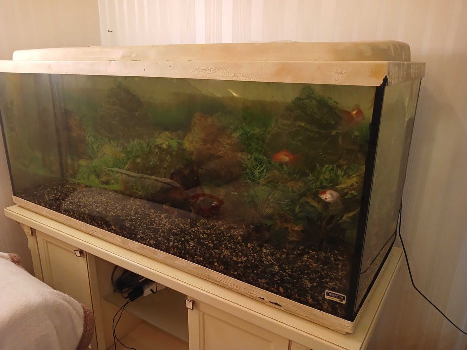 Акваріум 450л. Е очістна система. Без тумби.