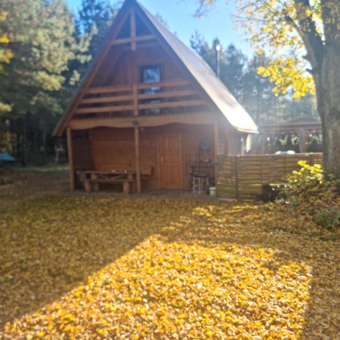 Domek do wynajęcia z jacuzzi Bory Tucholskie
