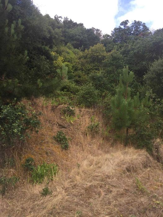 Quinta em Colares, Sintra