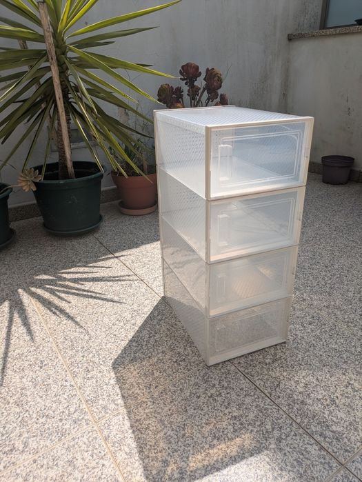 Caixas Sapatos/Arrumação Gato Preto