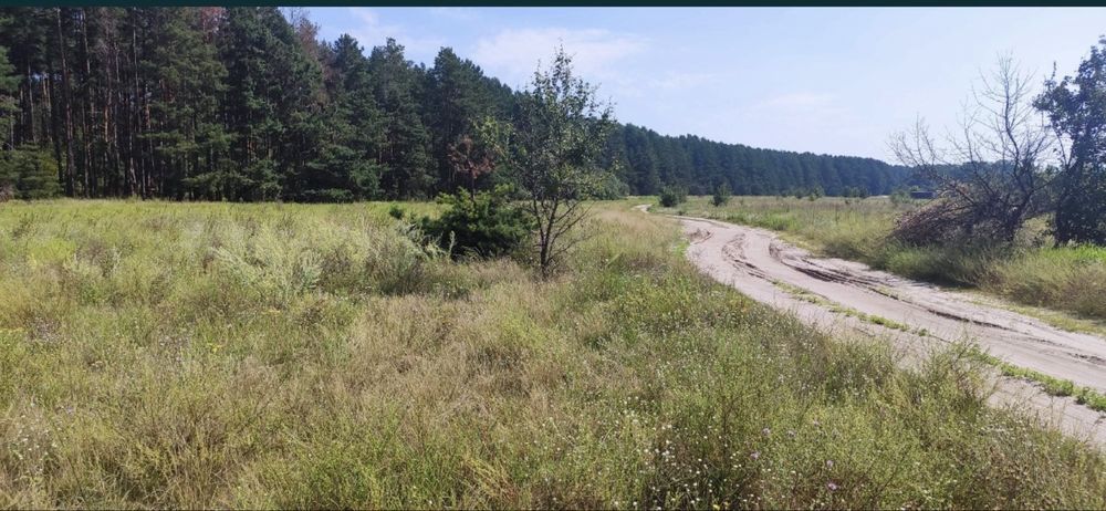 Земельна ділянка
