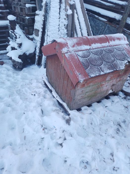 Buda ocieplana dla psa