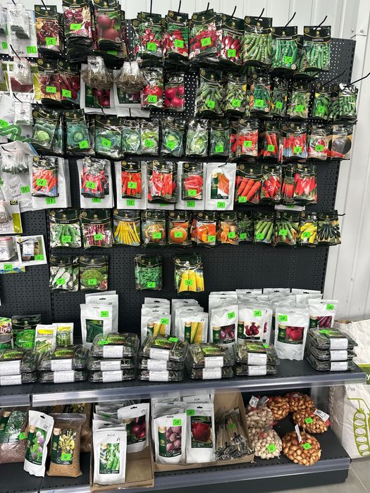 Насіння F1, syngenta, bejo ,sakata,E.ZADEN,томат, огірок , буряк …