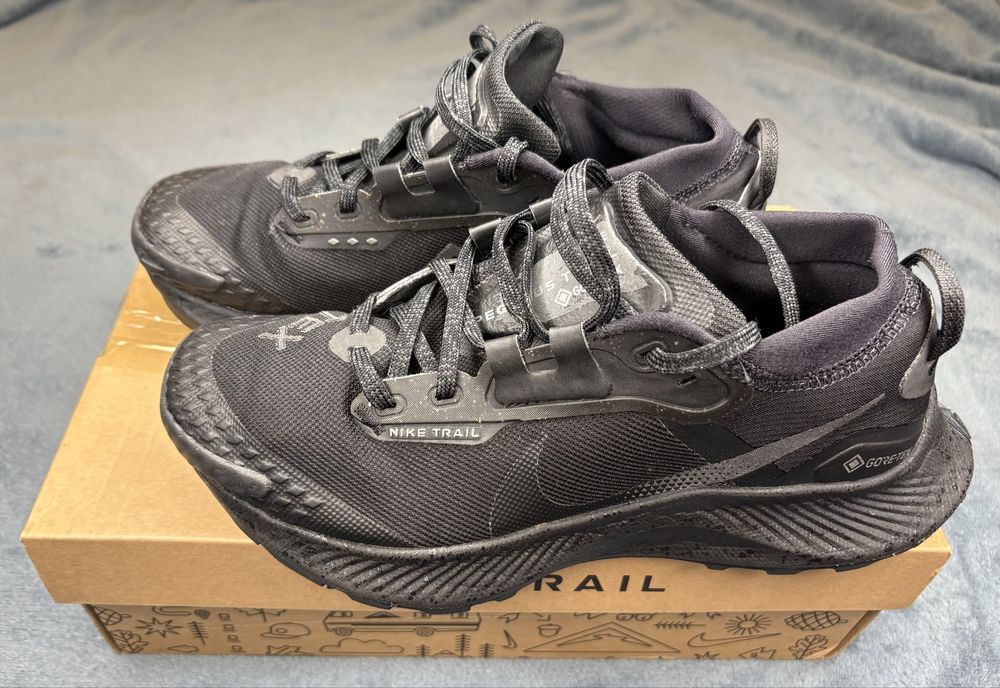 Кросівки Nike Pegasus Trail 3 GTX