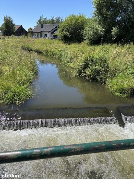 Działka rolna/rekreacyjna 6 900 m2 w Nowej Wsi, oddam w dobre ręce