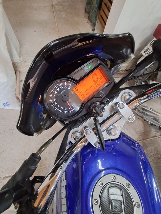 Мустанг регион 150