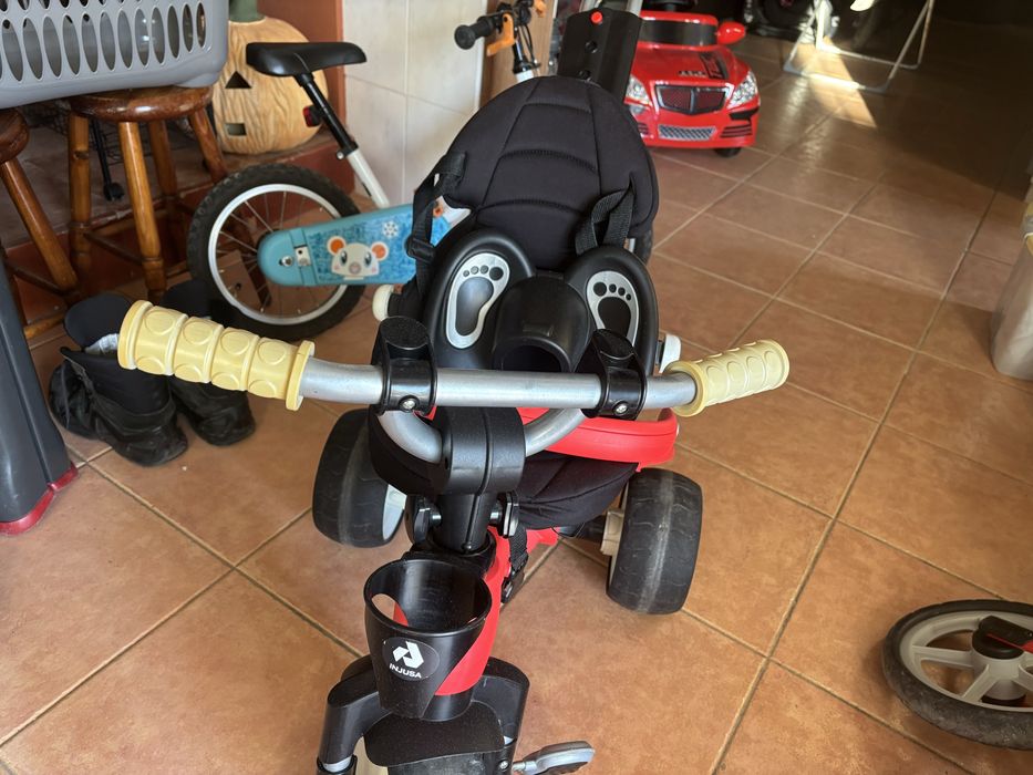 Triciclo de passeio