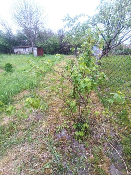 Продаж земельної ділянки на масиві Кам'яногірський