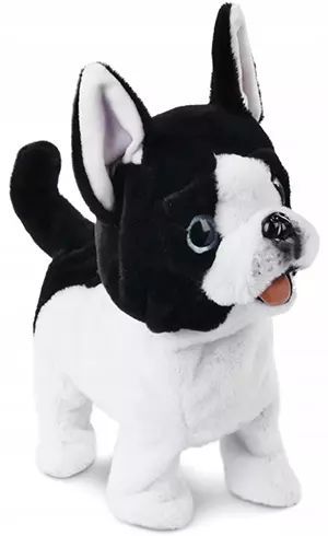 Piesek chodzący na smyczy. Artyk