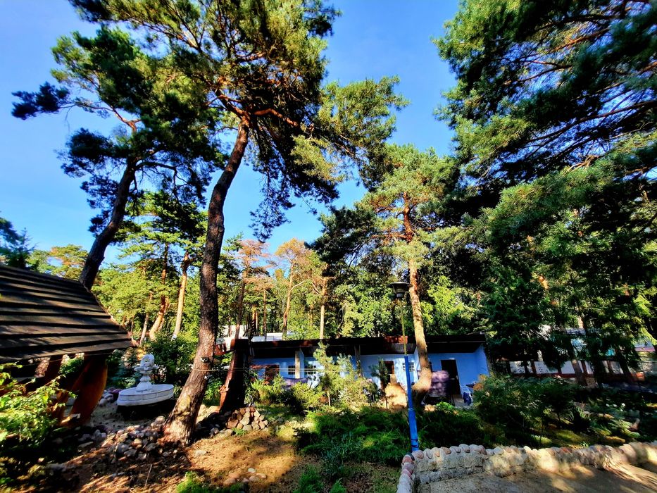 Wynajem domków2026 Wczasy Brenno DELFINEK