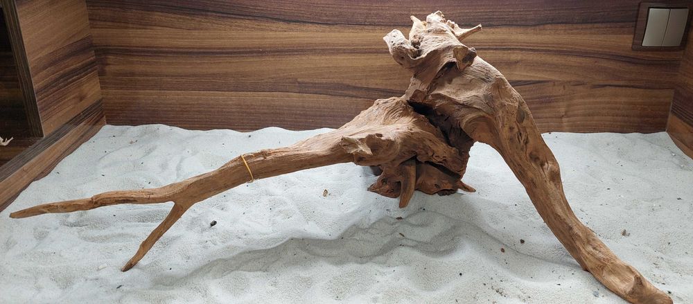 Korzeń Dark Old Wood