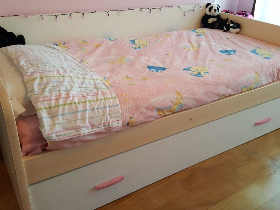 Camas64585735322754120