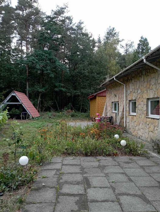 Działka i budynki pod aranżację - Widok 3