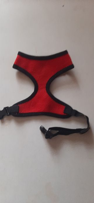 Шлейки для собак