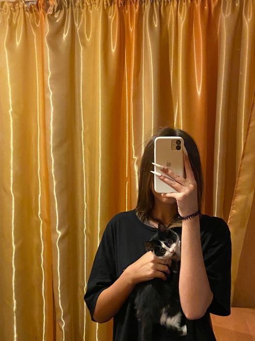 віддам котика, хлопчик