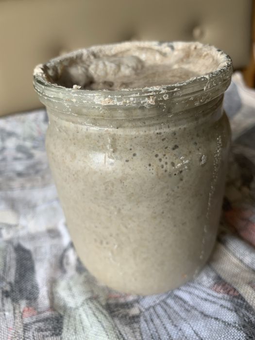 Закваска жива для хліба і здоби