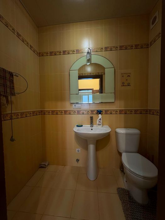 Частина будинку з генератором. Стара Балашівка. Агенція нерухомості